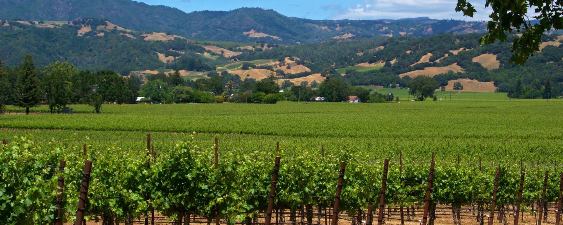 “Weekend trip to Sonoma, Escape the city life” with Travel Expert, Lindsay Myers from Access Hollywood, “Lindsay On Location”.